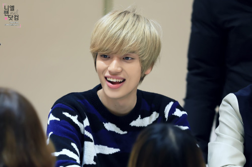 nielfacts:  [2] 131116 NIEL at Daegu Fansigning [cr: @nielfan_com] 