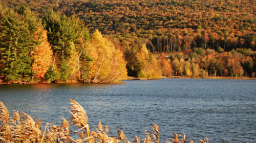 wereallgoingcuckoo:october in pennsylvania