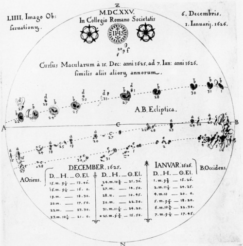 Christopher Scheiner’s Rosa Ursina sive Sol, 1626, charting sunspots.