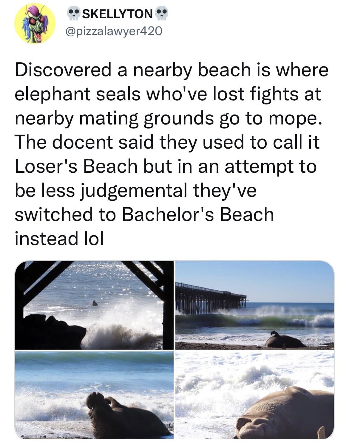 actualaster:
“djcranberry:
“No Bitches Beach”
Cannot let this stay in the tags
”