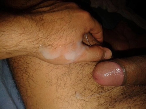 indianbears:  INDIAN BEAR CUM  Probably the only INDIAN BEAR blog in Tumblr: http://INDIANbears.tumblr.com/