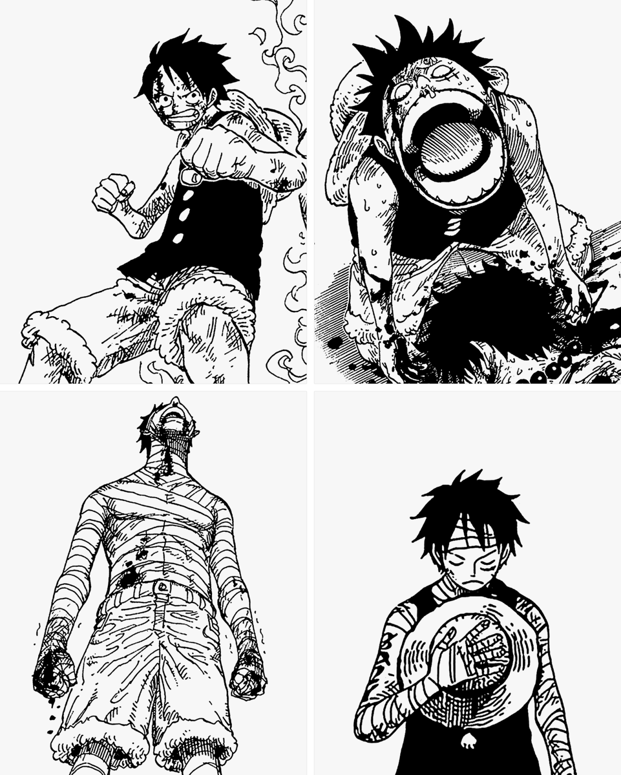 zorobae:  May 5th 2015 - Happy Birthday to the Future Pirate KingMonkey D. Luffy