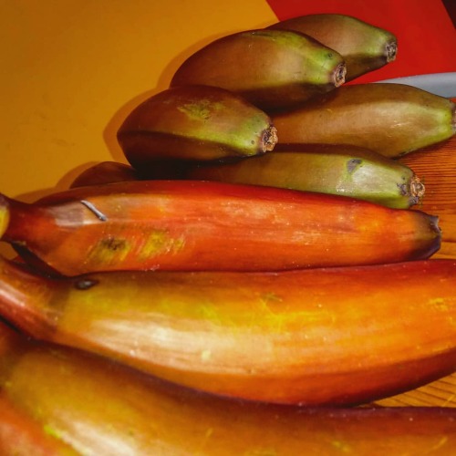 Red bananas, who knew…. the ripen time is a bit annoying but definitely worth it #goodmorning
