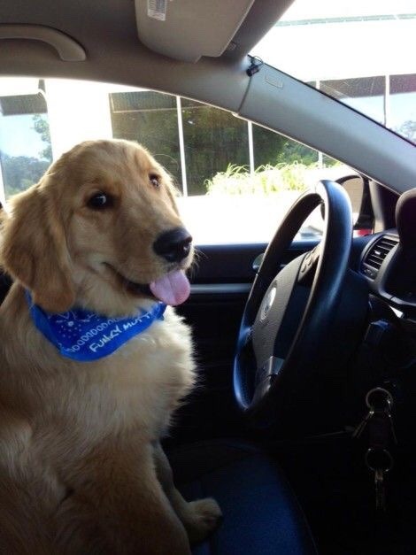 menpale:  Baby drive