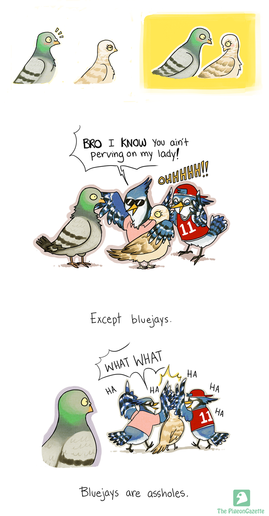 thepigeongazette:Seriously.
