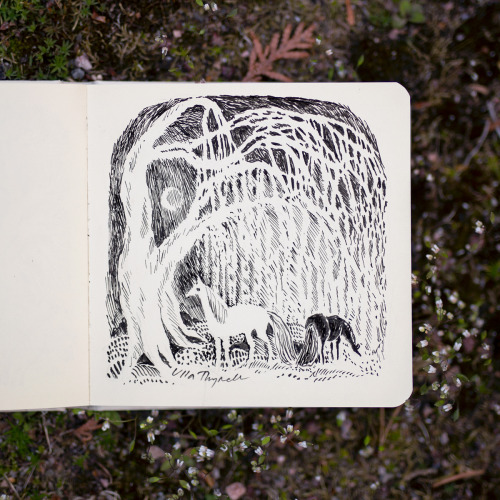 Sketchbook / Ulla Thynell