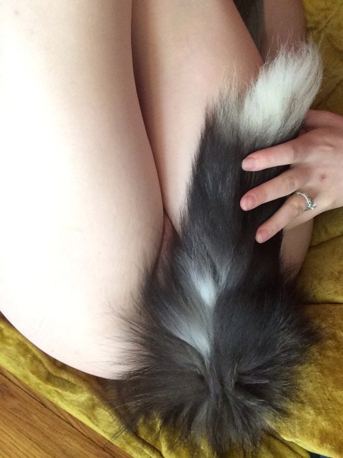 Porn Pics Only Tails