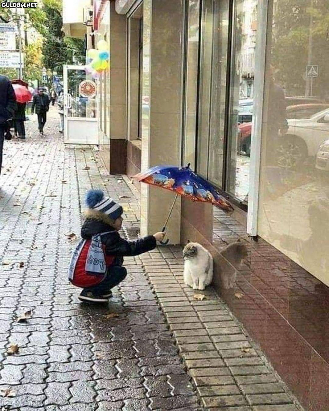 Günaydın ☂