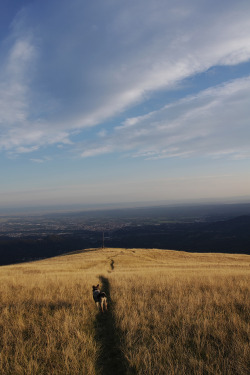 along-my-way:  Biella from above