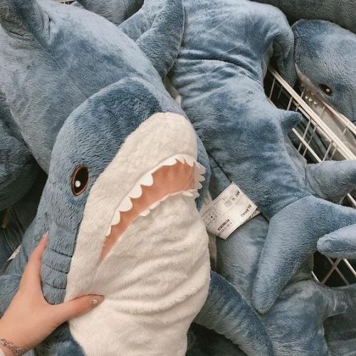 Pov: Your Camera Roll If You're Percy Jackson's Older Half-sibling