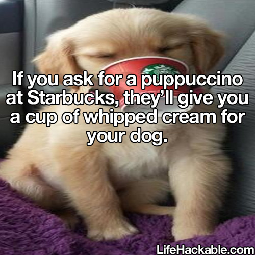 lifehackable:  Daily Life Hacks Here