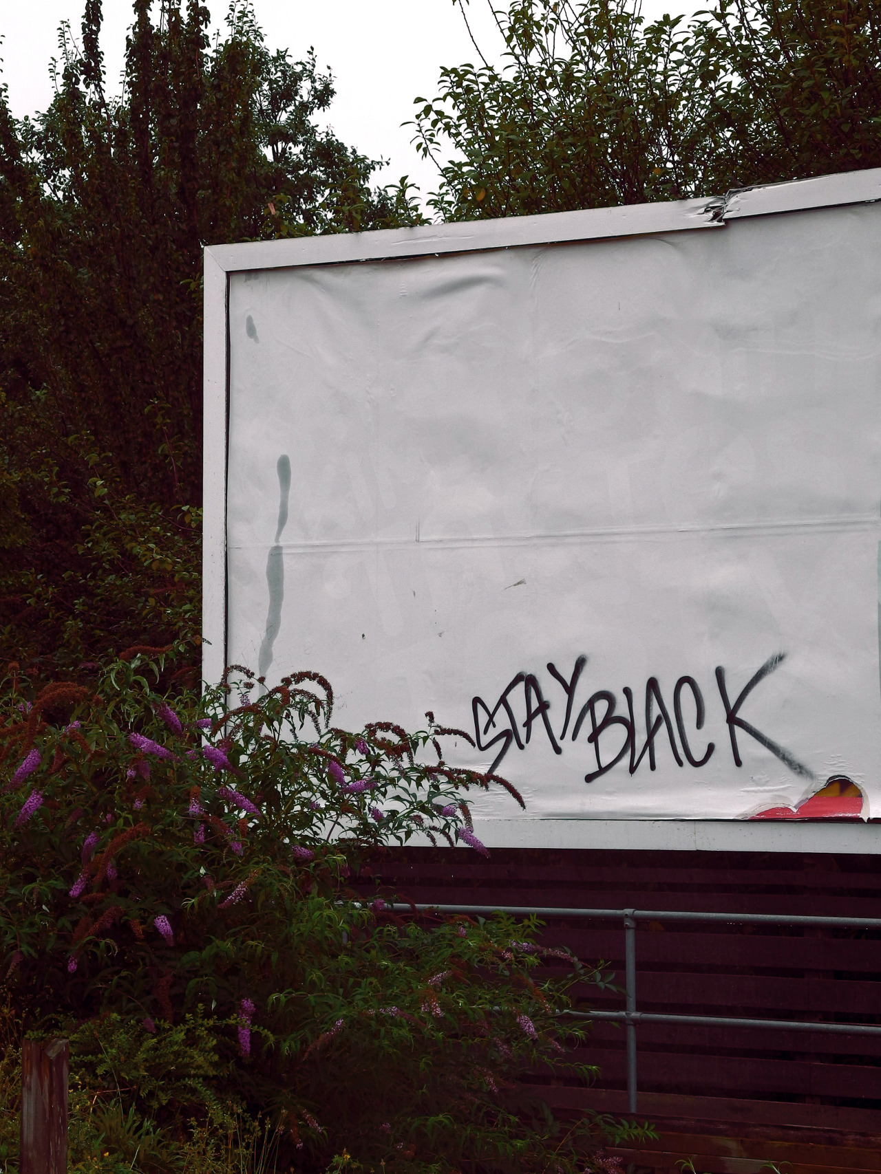 scavengedluxury:  Nottingham, September 2016.  