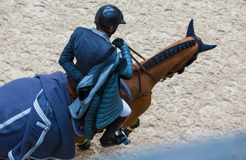 showjumpingpassion:   Saut Hermès CSI5* in Paris, France  Photographer: ©Jessica Rodrigues/R.B. Pres