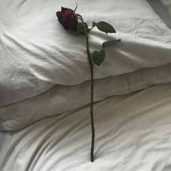 https://64.media.tumblr.com/0c0d2a0f1b8fbc0909b6e924bb8d5e3d/tumblr_o1f2x5zEzt1uj0boho1_500.jpg