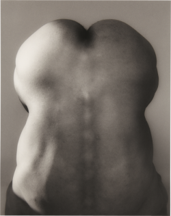 franck-arseno: Robert Mapplethorpe “Raymond”, 1985 From: http://www.phillips.com/search/1/?search=ROBERT%20MAPPLETHORPE 