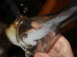 The-Stoners-Blog:  Follow » The-Stoners-Blog «Then, Submit Your Stash » Here