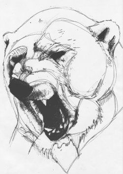 eatsleepdraw:  first drawing in a year, that i’ve been proud of.  Rawr! It&rsquo;s a bear!