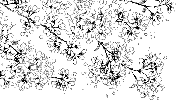 見ぬが花。