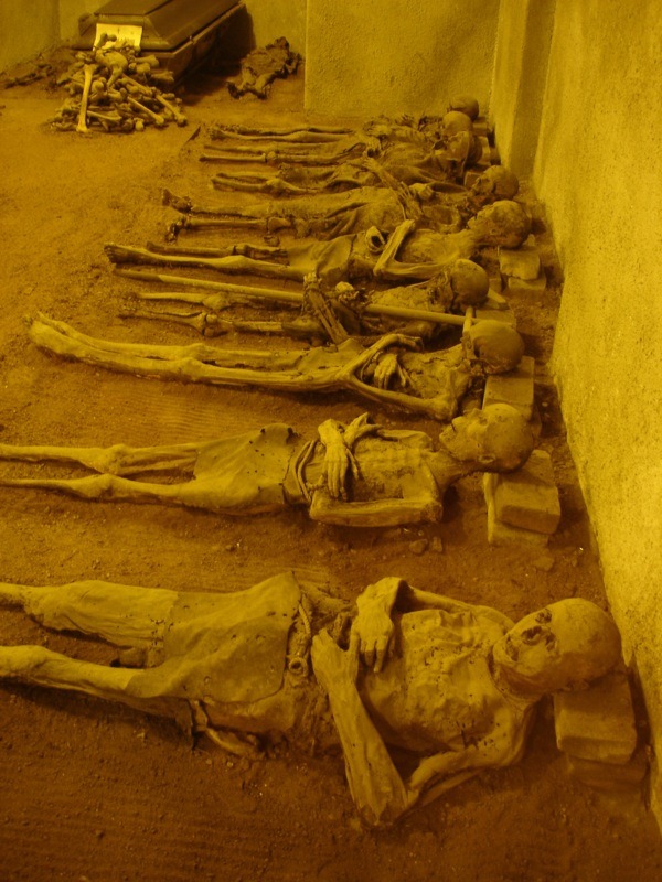 deathandmysticism:  Mummies at the crypt of the Capuchin monastery in Brno, Czech