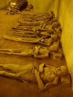 deathandmysticism:  Mummies at the crypt