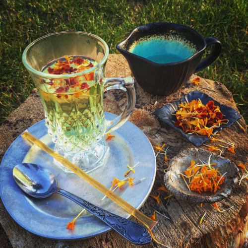 Marigold Tea by Kyoko Kobayashi