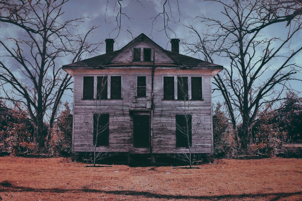 cowtownchad:Darkness on the Edge of Town, rural South Carolina