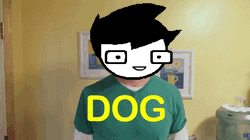 alice8888:  pestergamzeeandtavros:   What if your friends acted like your pets?  The Homestuck edition.  I HAVE BEEN WAITING SO LONG FOR THIS 