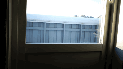 gifsboom:Cat Convinces Her Human to Come Outside and Play with Her. [video]