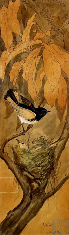 centuriespast: RedstartArtist: Emma Bell Miles1880 - 1919: watercolor on paper Hunter Museum of Amer