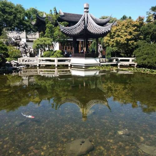 Recipe for beating the heat: Tea, flowers, shade. . . . #gardens #landscape #lansuchinesegarden #w