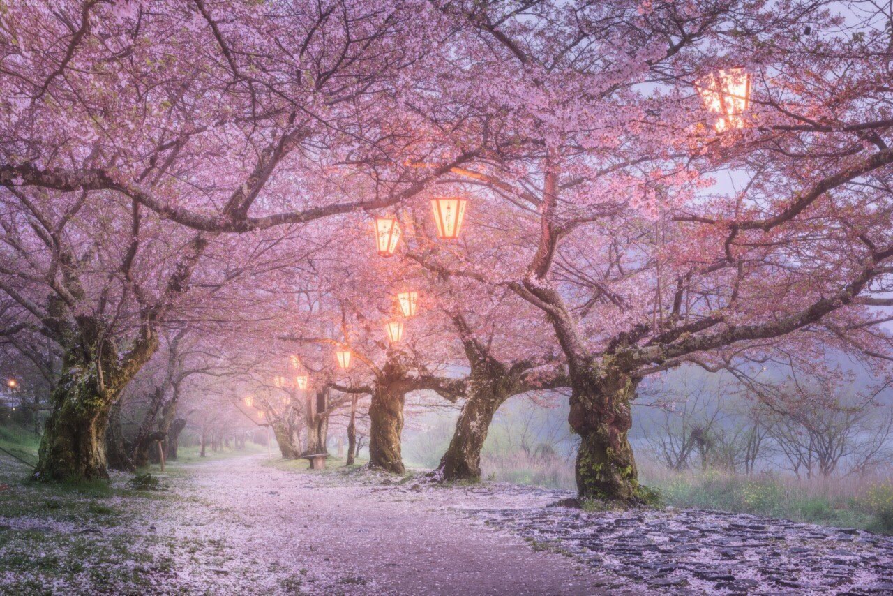 croathia:  Japan. 