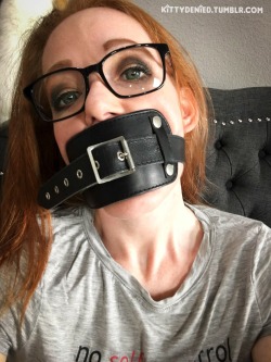 kittydenied:  Not sure what task I was trying to avoid, but these gagged selfies bought me a little time ;)