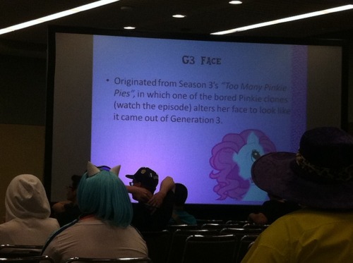 shutthefuckupotherkin:steveholtvstheuniverse:highlights from the pony memes panel at bronyconI feel 