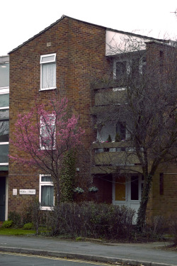 scavengedluxury:Moira Street. Loughborough, February 2017. 