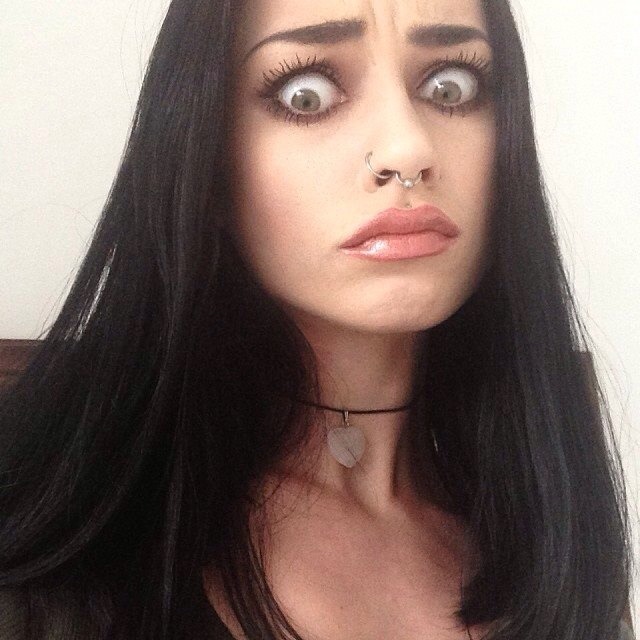 Felice fawn