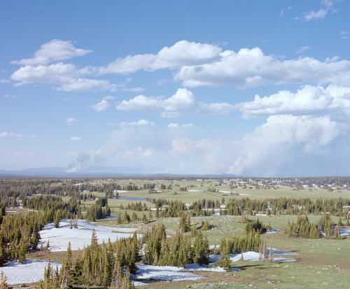 kent-andreasen:Medicine Bow