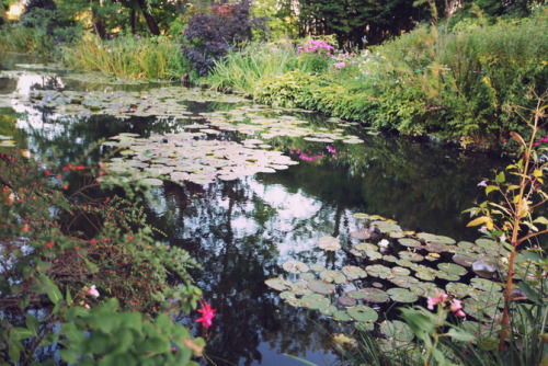 XXX acopipa:  Claude Monet’s home, Giverny photo