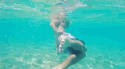 https://64.media.tumblr.com/0c1bb9107439d97a05cd215a41411dd7/tumblr_nn2rvipSXP1rivb74o1_500.gif