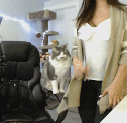 hottiesinyogapant:  Jiggle twitch girl