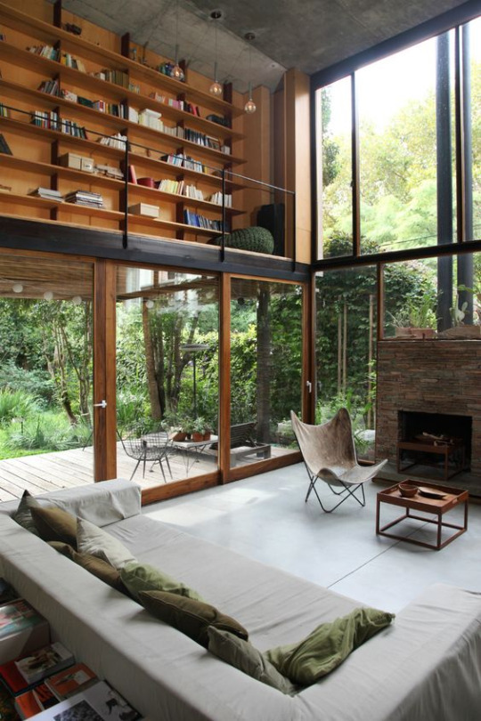 ambroke:  Living in Jungle