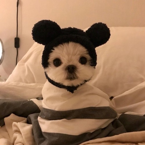 我真累