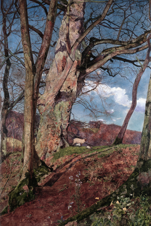 John William Inchbold (British, 1830-1888), InchboA Study, in March, 1855,Oil on canvas, 53 x 35 cm,