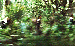 mistakingloveforlaughter:  chrrycola: The 75th Hunger Games, also known as the third