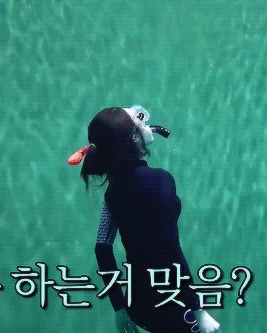 skyblossom: ej practicing her diving for lotj