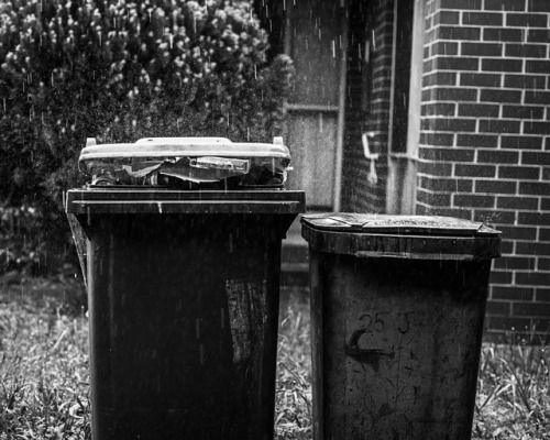 Rain Makes Everything More Beautiful