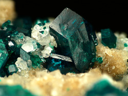 themineralogist:  Dioptase (by smulaxx) 