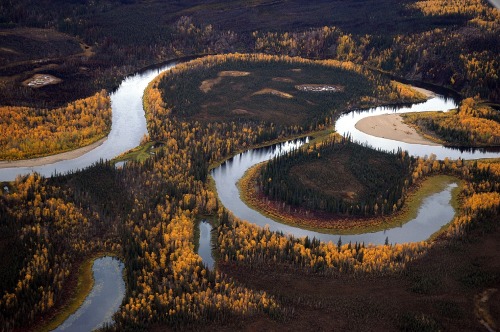 MeanderingThis lovely shot from Alaska’s Kanuti National Wildlife Refuge captures all sorts of proce