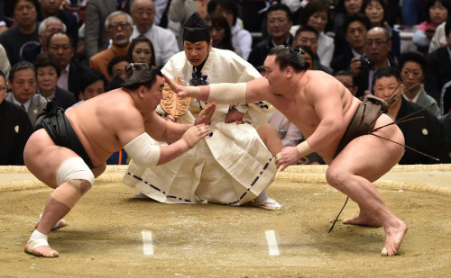 sumobasho:And that is that. I think I heard him yell, Ole!