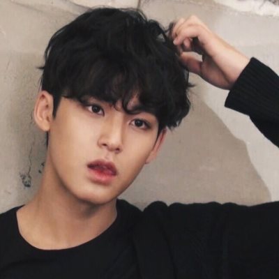 #mingyu-icons on Tumblr