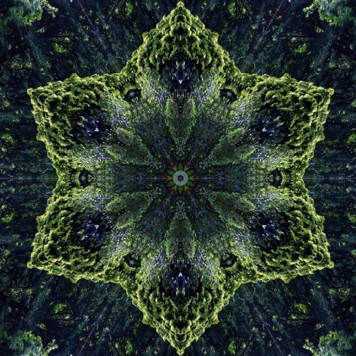 Nature in Kaleidoscope.Had a phase last year of making these things, usually from failed snapshots a